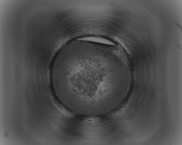 X0000091720447200709071440