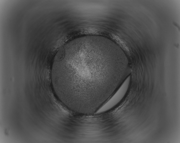 X0000091720449200709071440