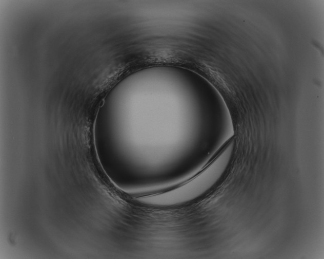 X0000091720450200709071440