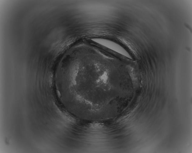 X0000091720451200709071440