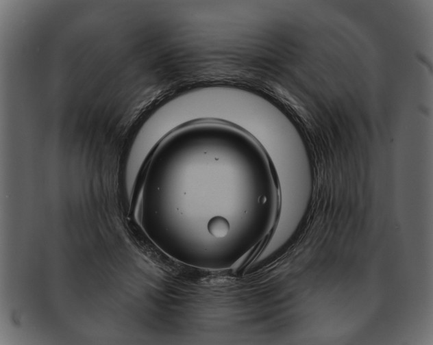 X0000091720452200709071440