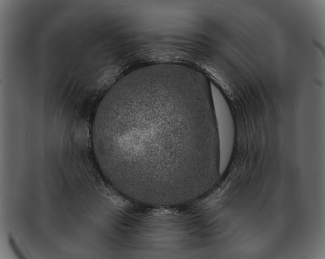 X0000091720453200709071440