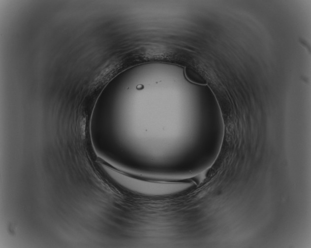 X0000091720454200709071440