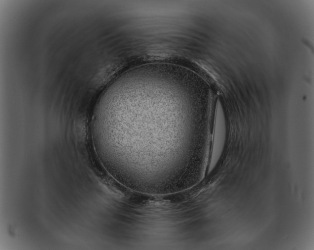 X0000091720455200709071440