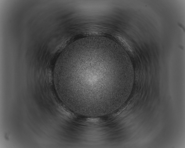 X0000091720457200709071440