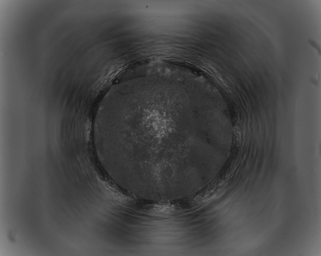 X0000091720458200709071440