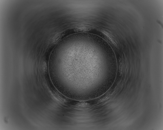 X0000091720459200709071440