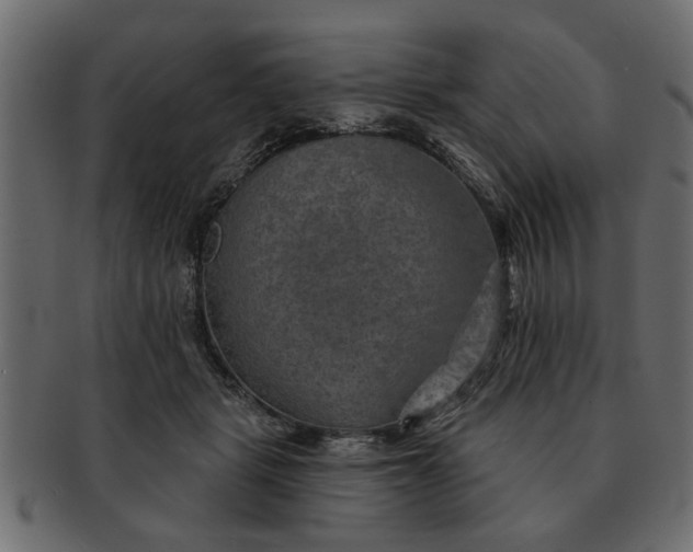 X0000091720461200709071440