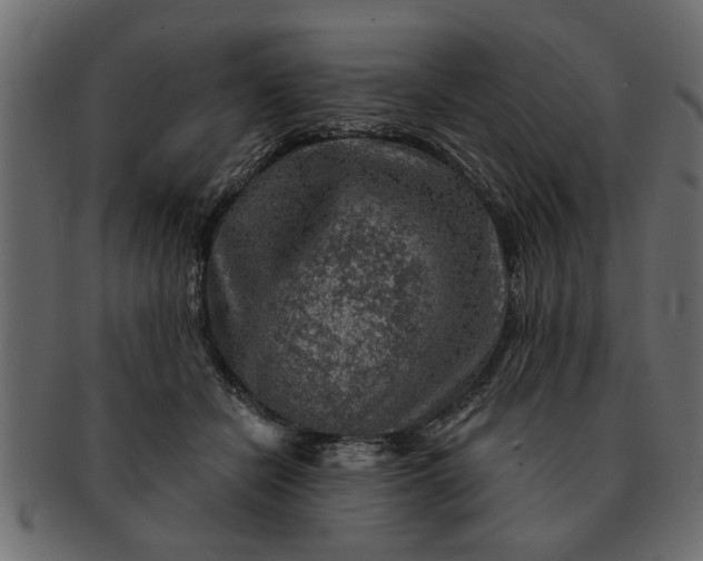 X0000091720462200709071440