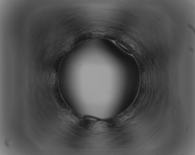 X0000091720463200709071440