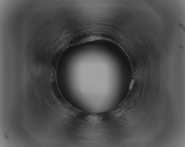 X0000091720464200709071440