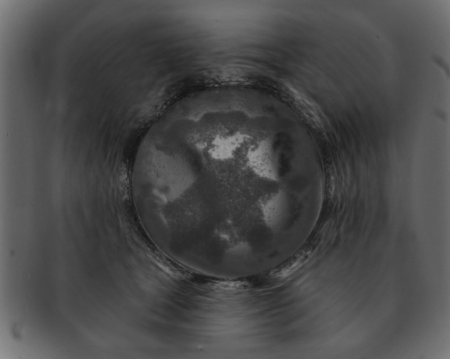 X0000091720465200709071440