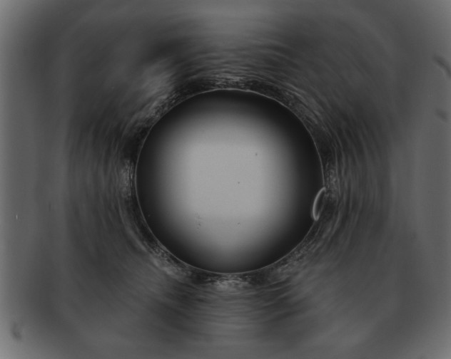 X0000091720468200709071440