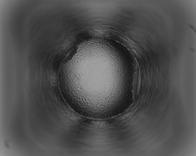 X0000091720469200709071440