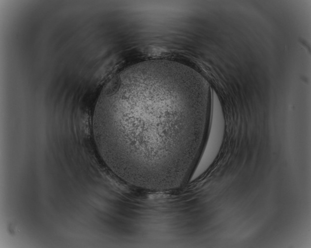 X0000091720470200709071440