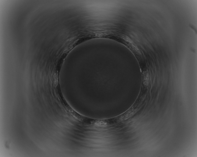 X0000091720471200709071440