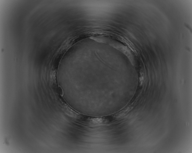 X0000091720473200709071440