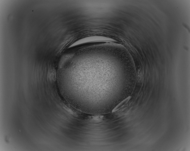 X0000091720474200709071440