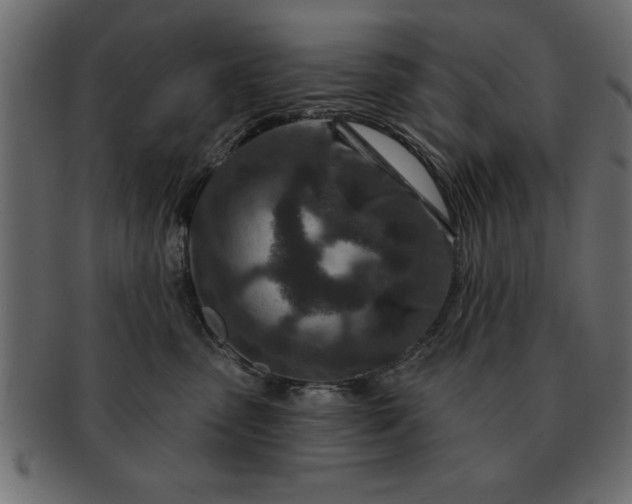 X0000091720475200709071440