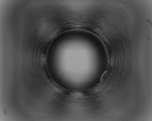 X0000091720476200709071440