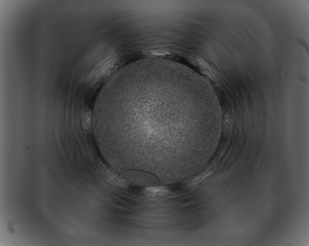 X0000091720477200709071440