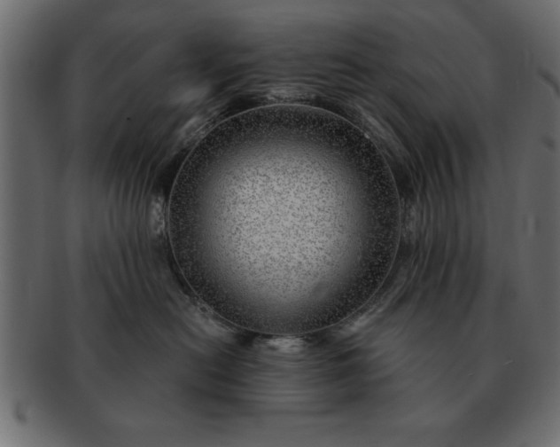 X0000091720478200709071440