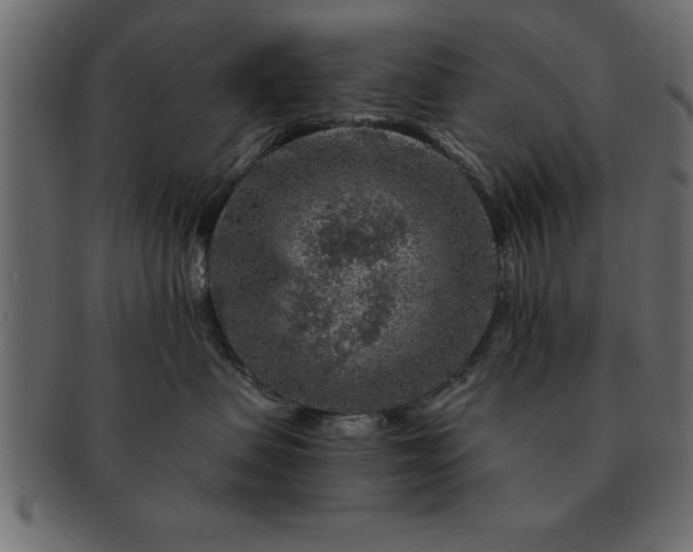 X0000091720479200709071440