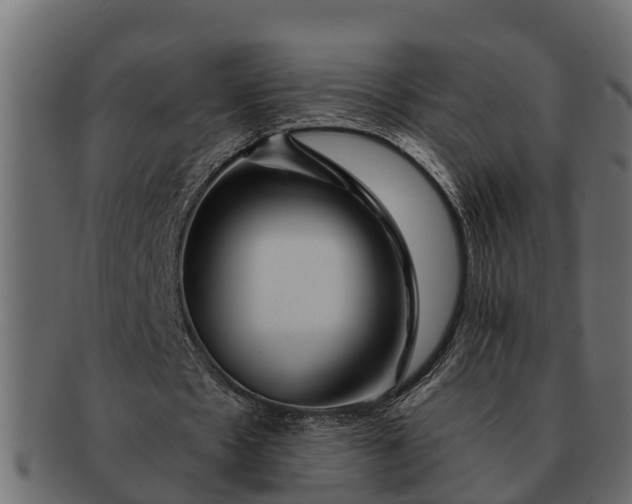 X0000091720481200709071439