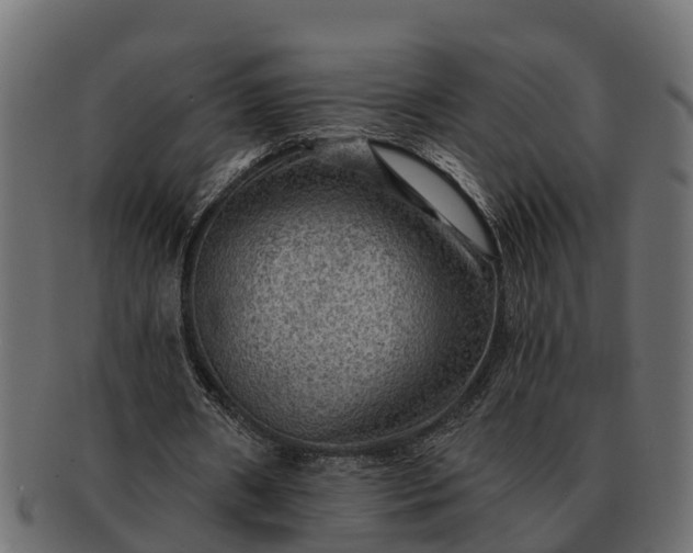 X0000091720482200709071439