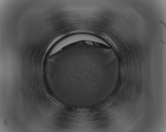 X0000091720484200709071439