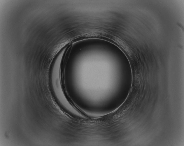 X0000091720485200709071439