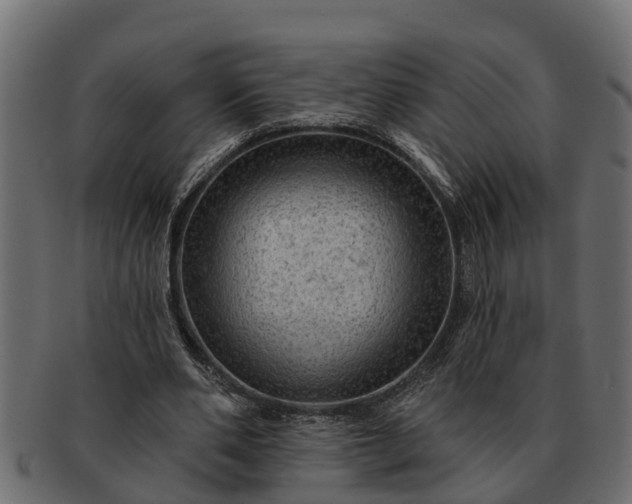 X0000091720486200709071439