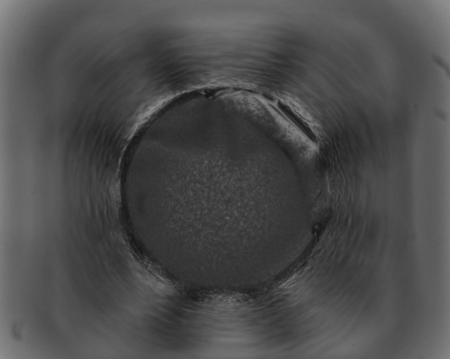 X0000091720488200709071439