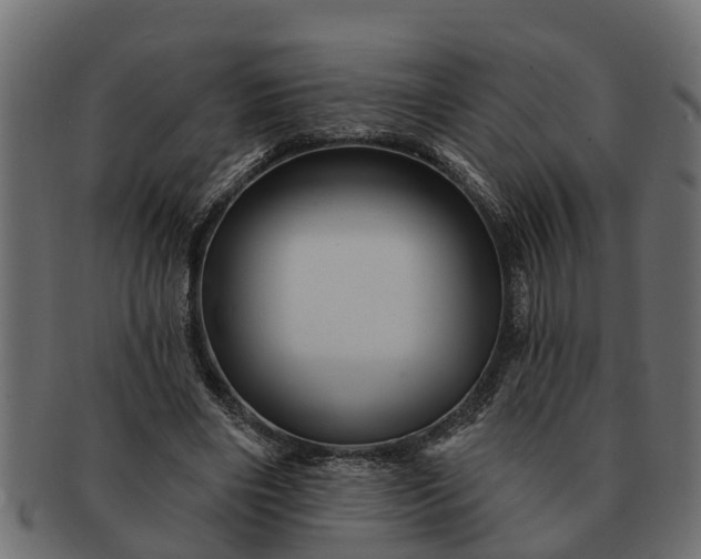 X0000091720490200709071439