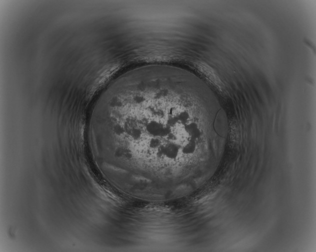 X0000091720491200709071439