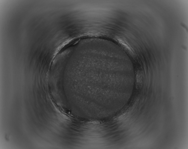 X0000091720492200709071439