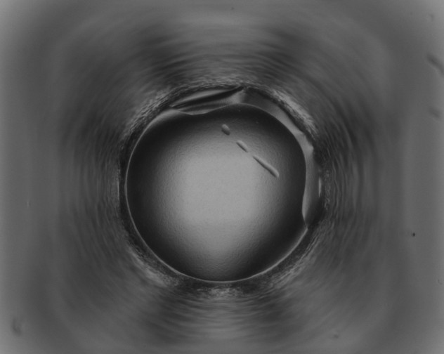 X0000091720493200709071439