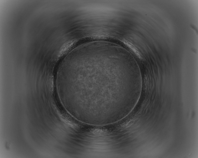 X0000091720494200709071439