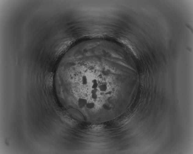 X0000091720495200709071439