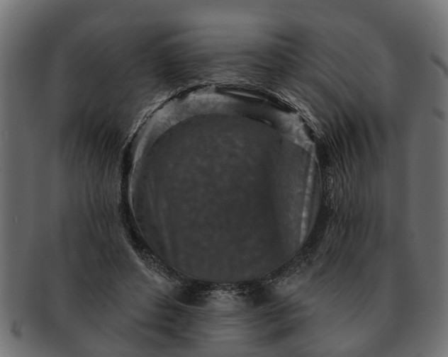 X0000091720496200709071439