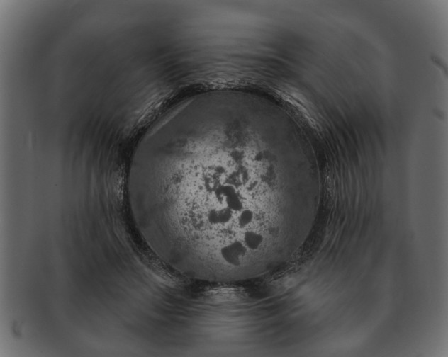 X0000091720499200709071439