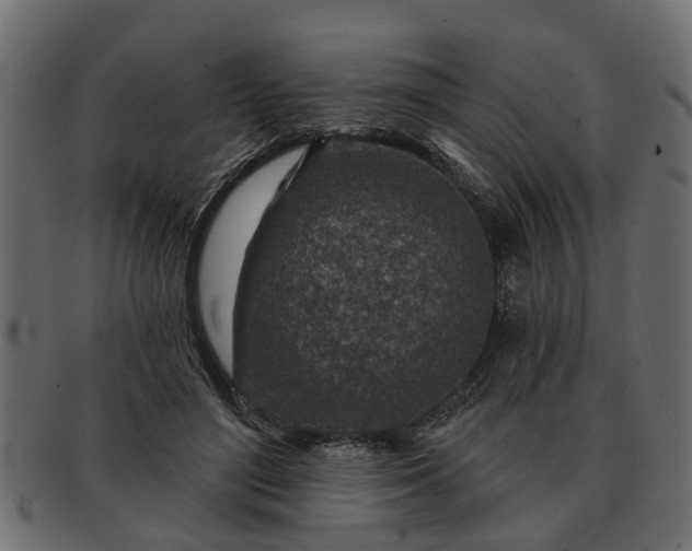 X0000091720500200709071439