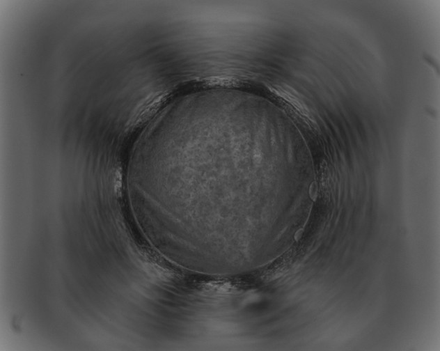 X0000091720502200709071439