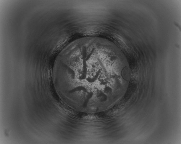 X0000091720503200709071439