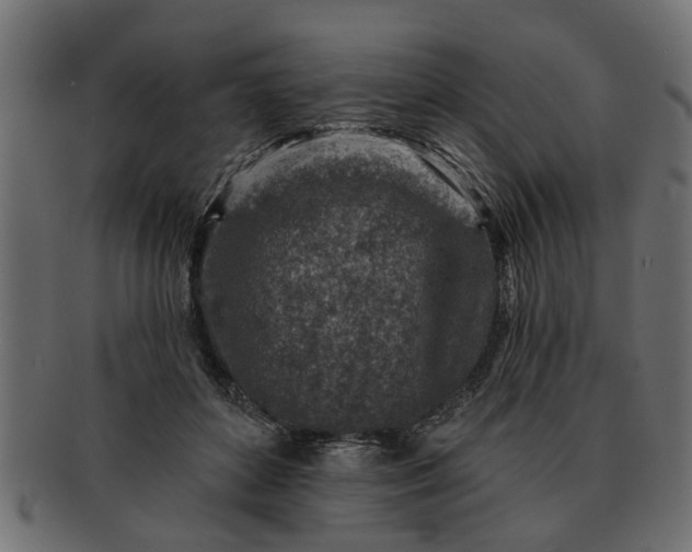 X0000091720504200709071439