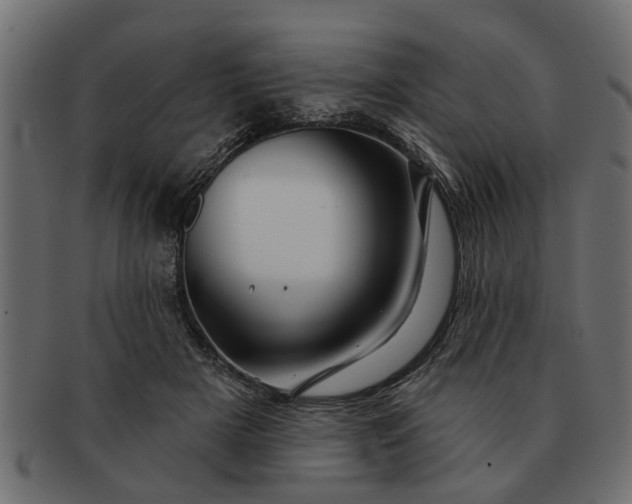 X0000091720505200709071439