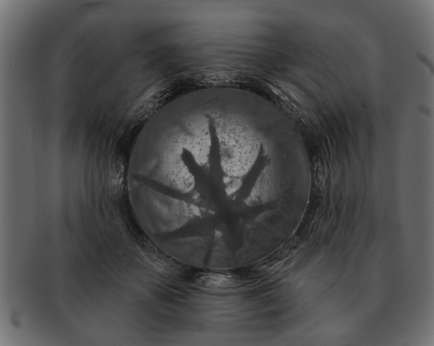 X0000091720507200709071439