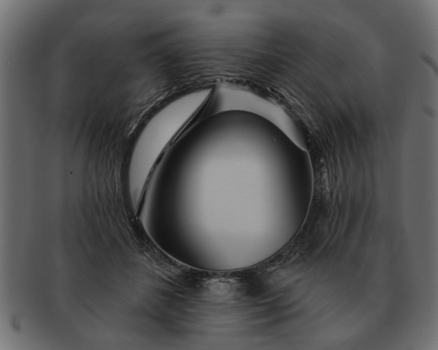 X0000091720508200709071439