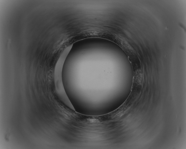 X0000091720509200709071439