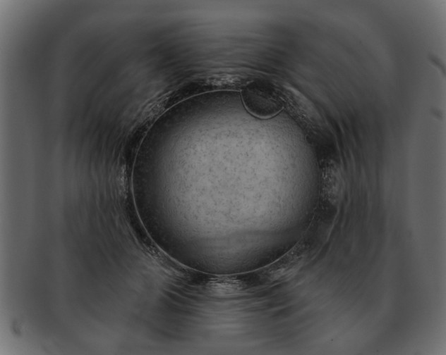 X0000091720510200709071439